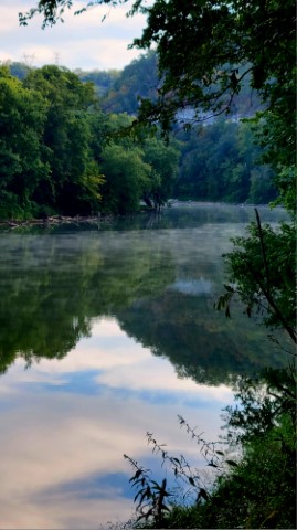 Image of The River by Rachel Bugaris from Lexington